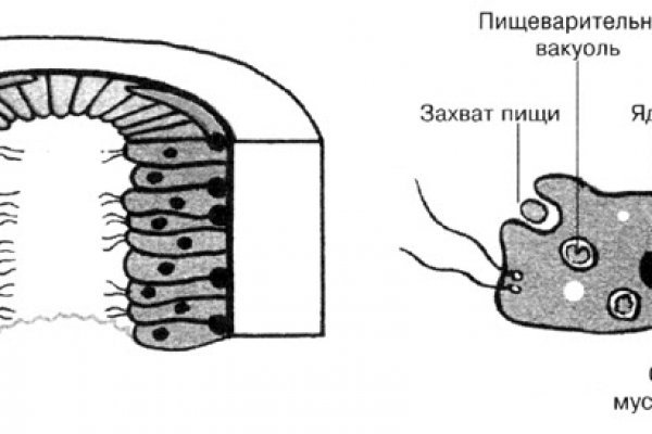 Кракен соль