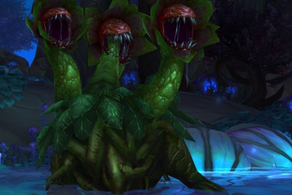 Kraken cc