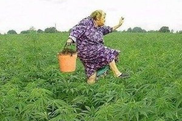 Сайт кракен зайти