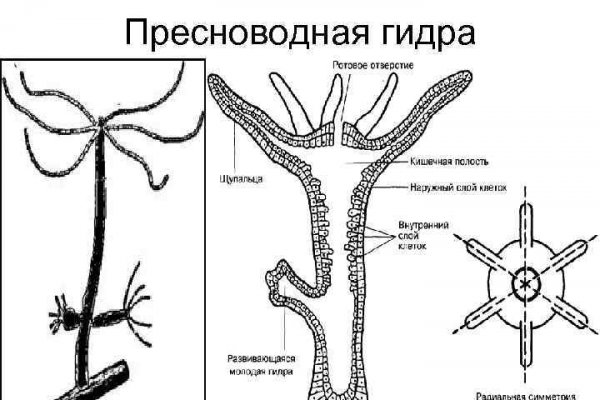 Рабочий кракен