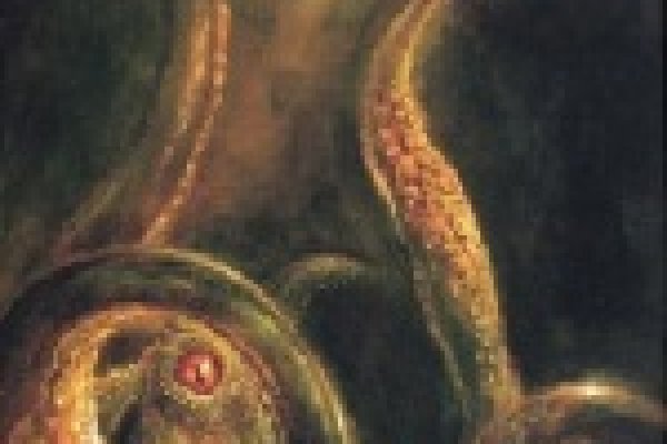 Kraken 20at