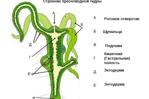 Сайты наркоты