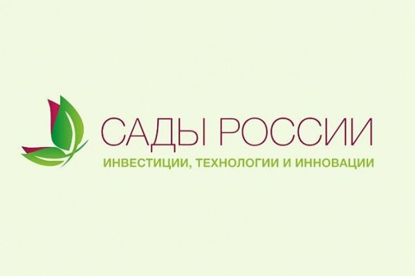 Гидра в даркнете