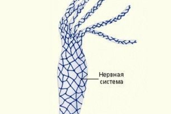 Www kraken 20at net