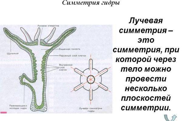 Кракен это даркнет