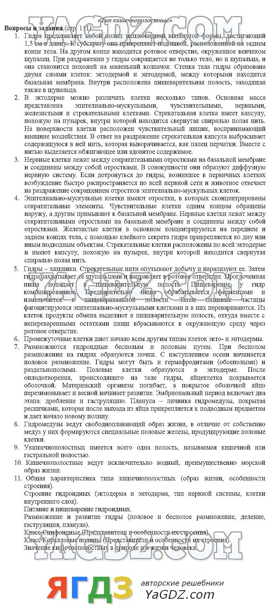 Кракен современный маркетплейс